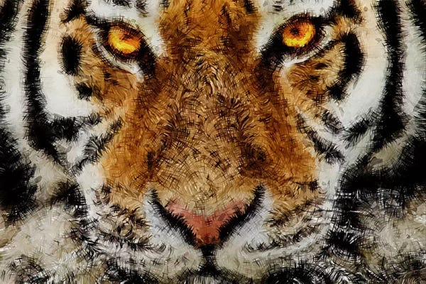 Tigers: Animal Art - Tiger by Diego Tirigall