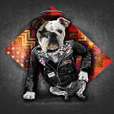 Bad Dog by Diego Tirigall acrylic art print