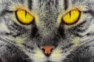 Gato Loco by Diego Tirigall acrylic art print