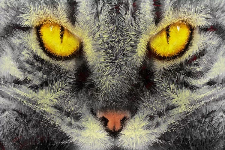 Gato Loco by Diego Tirigall wall art
