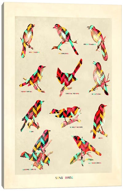 Song Birds Canvas Art Print - Chevron Patterns