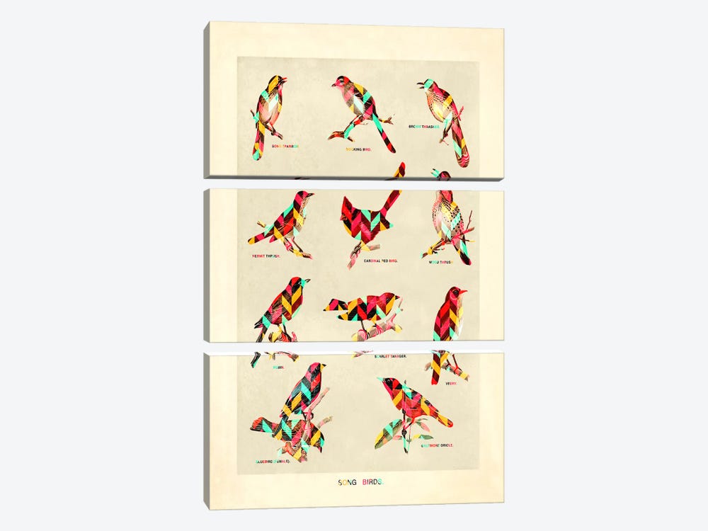 Song Birds by Diego Tirigall 3-piece Art Print