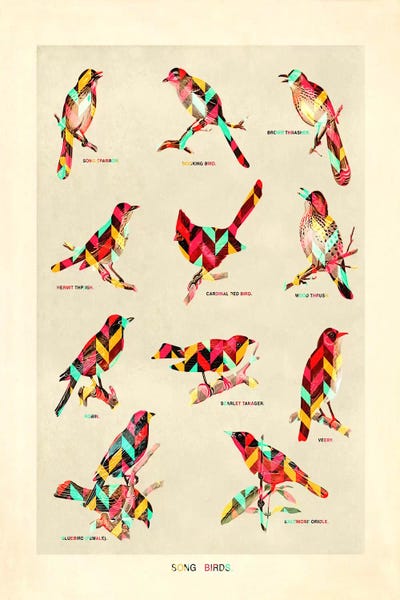 Chevron: Song Birds by Diego Tirigall