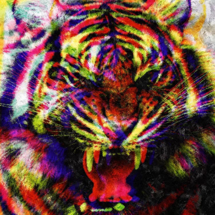 Wild Colors by Diego Tirigall wall art