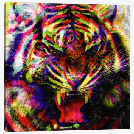 Wild Colors Canvas Print #MXS75} by Diego Tirigall Canvas Art Print