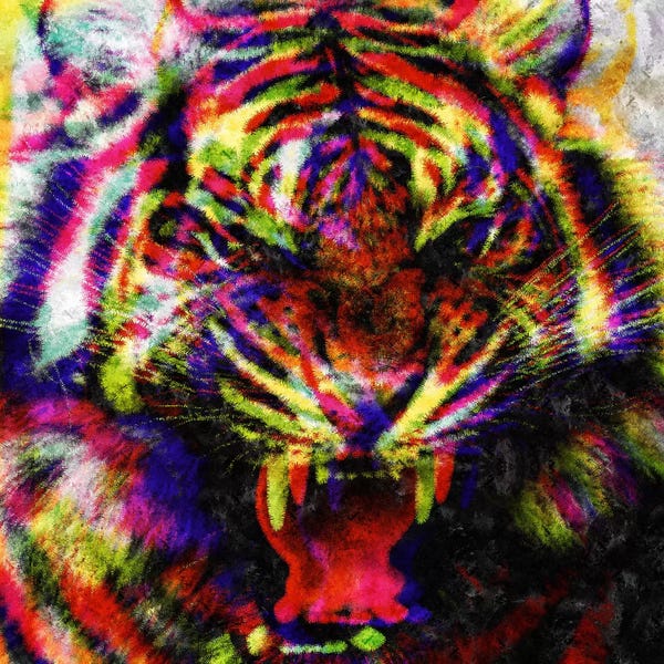 Diego Tirigall: Wild Colors by Diego Tirigall
