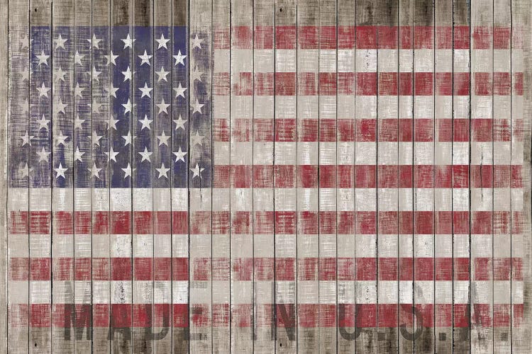 American Flag I by Diego Tirigall wall art