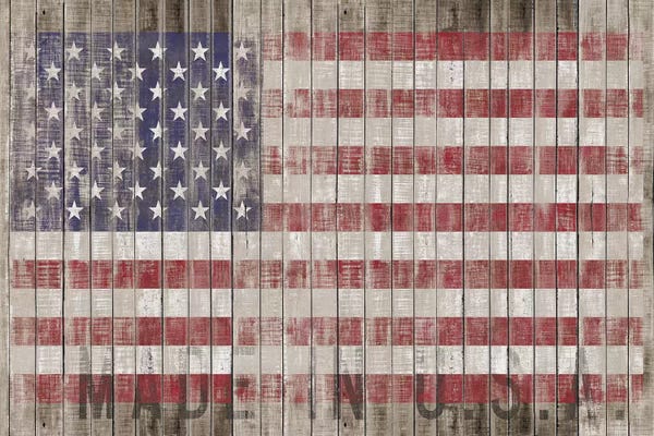 Kitchen: American Flag I by Diego Tirigall
