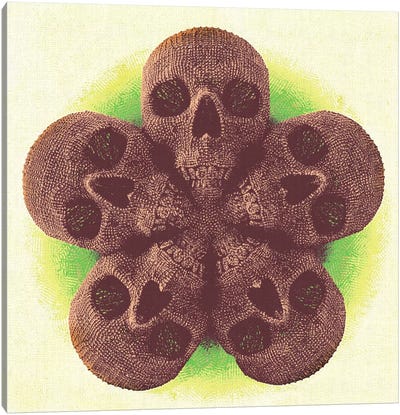 Skull Mandala Canvas Art Print - Mandala Art