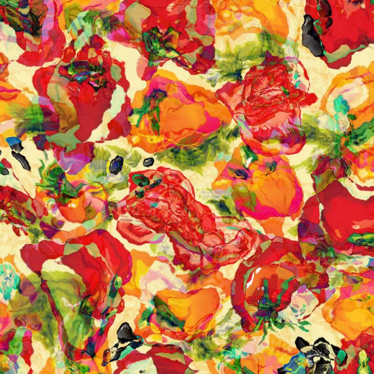 Peppers and Tomatoes by Diego Tirigall wall art