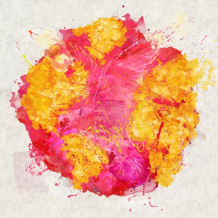 Of Happiness by Diego Tirigall canvas print