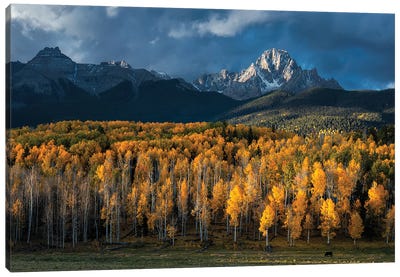 Mt Sneffels In Autumn Canvas Art Print - 1x Scenic Photography