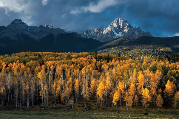 Mt Sneffels In Autumn