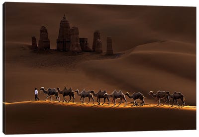 Castle And Camels Canvas Art Print