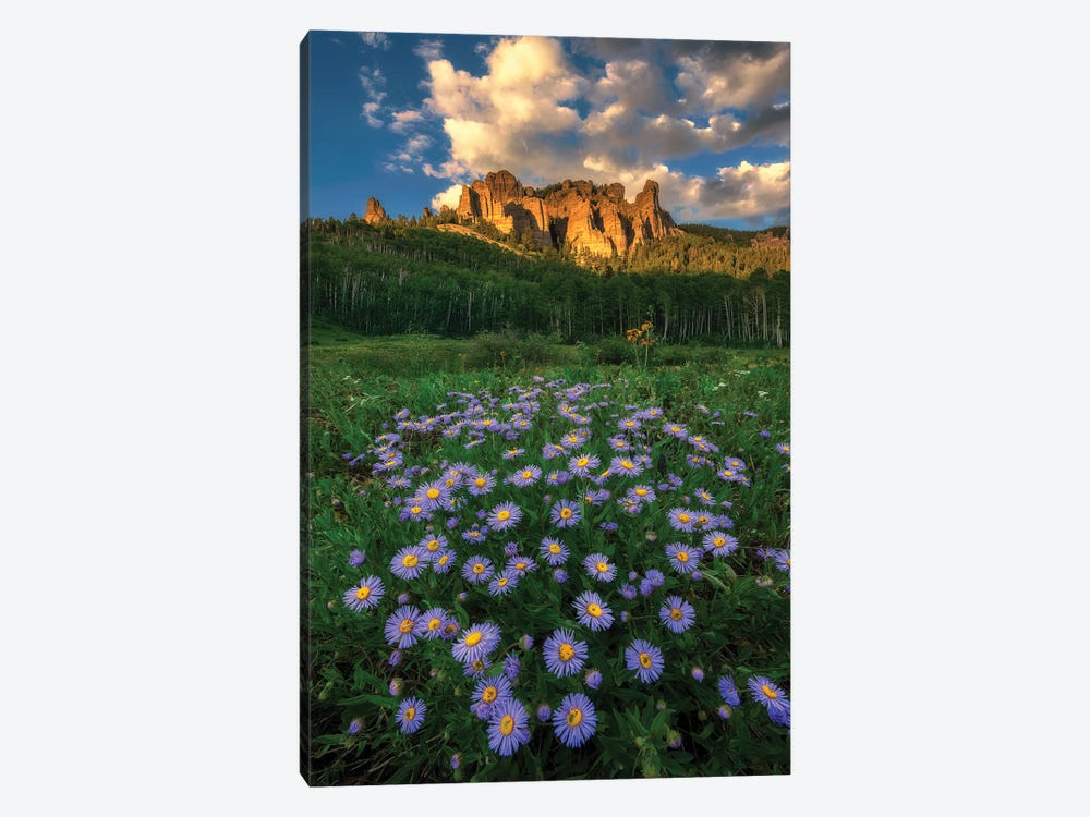 Canyon And Daisies by Mei Xu 1-piece Art Print