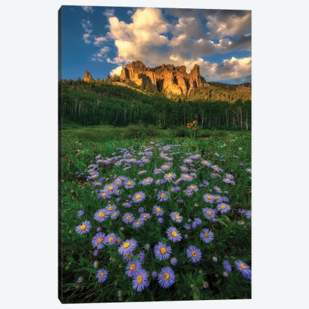 Canyon And Daisies Canvas Print #MXU8} by Mei Xu Canvas Artwork