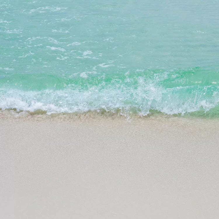 Little Waves by Myan Soffia wall art