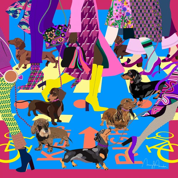 Dachshunds: Fashion Girls And Their Doxies by Marylene Madou