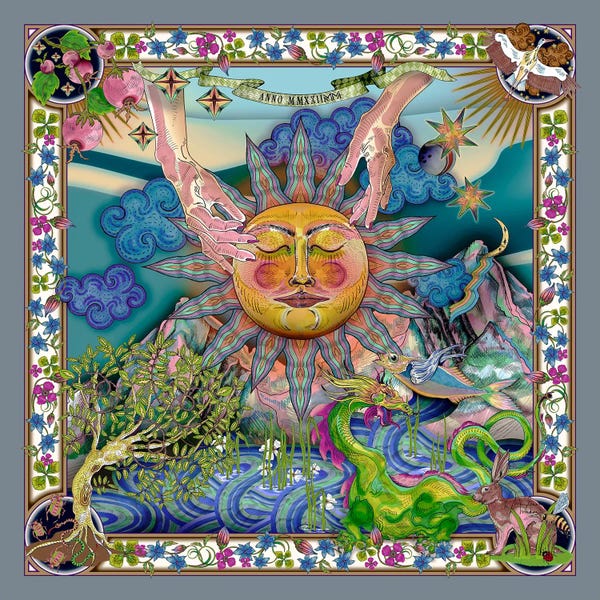 Beetles: Cosmic World Anno 22 by Marylene Madou