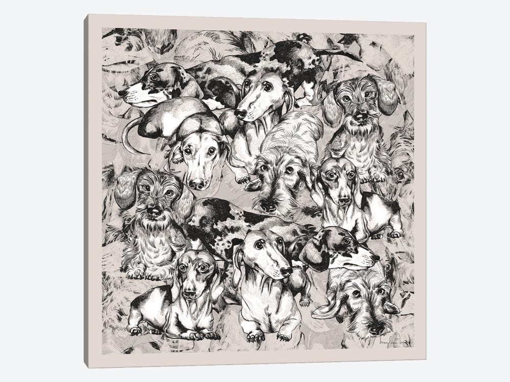 Dachshunds Pencil Sketches Warm Grey by Marylene Madou 1-piece Canvas Wall Art