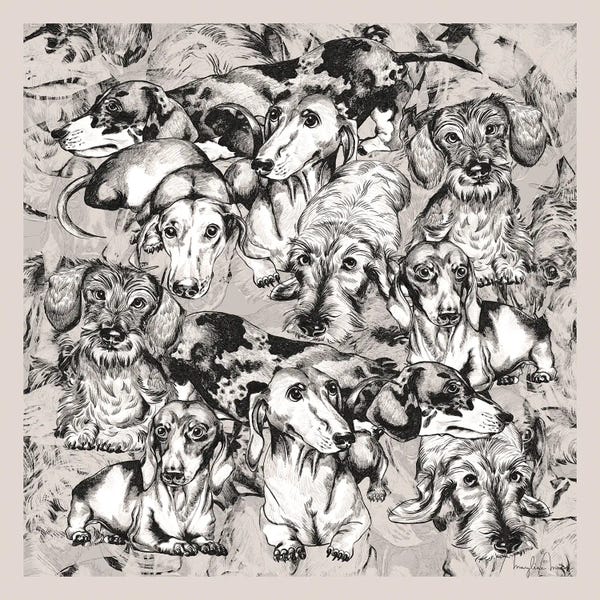 Marylene Madou: Dachshunds Pencil Sketches Warm Grey by Marylene Madou