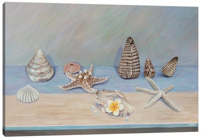 The Sea On The Shelf Canvas Art Print - Starfish Art
