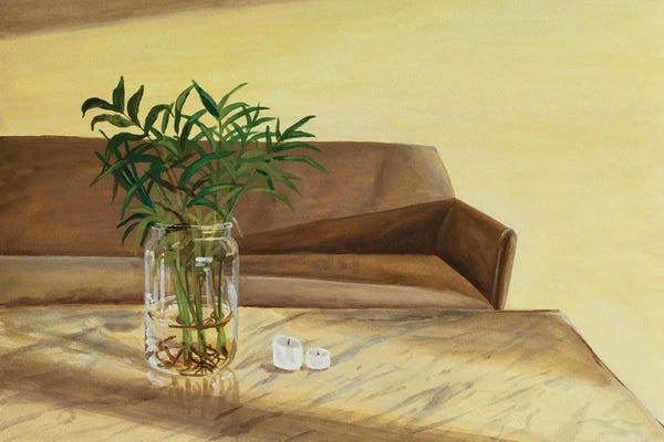 A Place For You: Areca Palm by An Myeong Hyeon