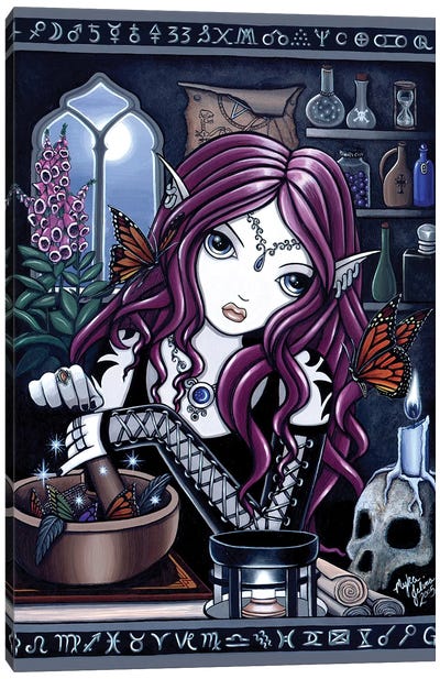 The Alchemist Canvas Art Print - Myka Jelina
