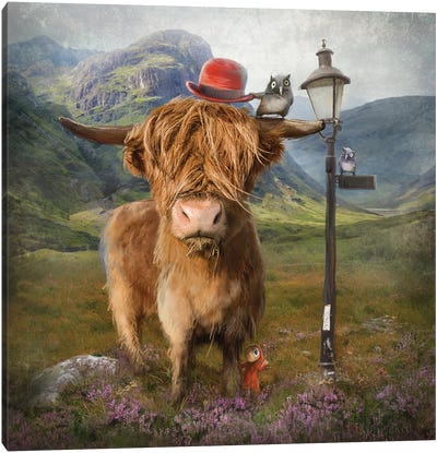 Highland Cow Canvas Art Print - Matylda Konecka
