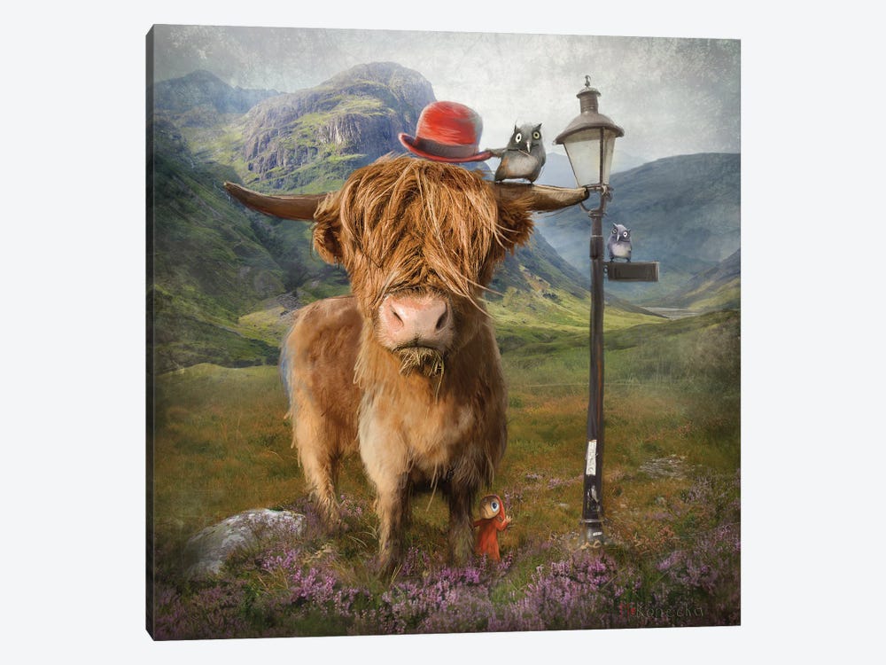 Highland Cow by Matylda Konecka 1-piece Canvas Wall Art
