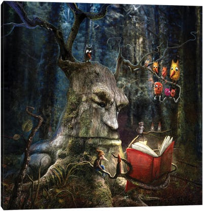 The Storyteller Canvas Art Print - Mythical Creatures