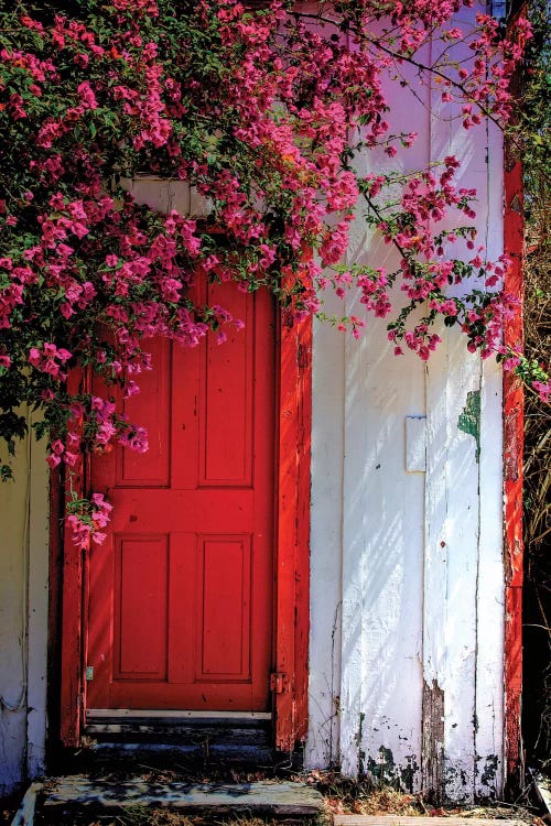 Red Door by Dean Mayo wall art