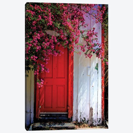 Red Door Canvas Print #MYO2} by Dean Mayo Canvas Artwork