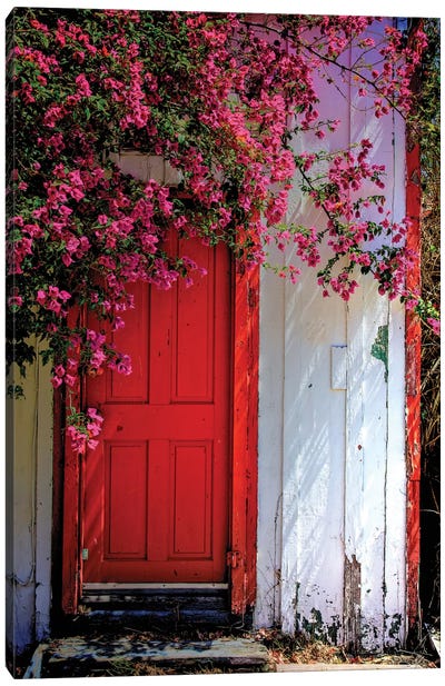 Red Door Canvas Art Print - Door Art