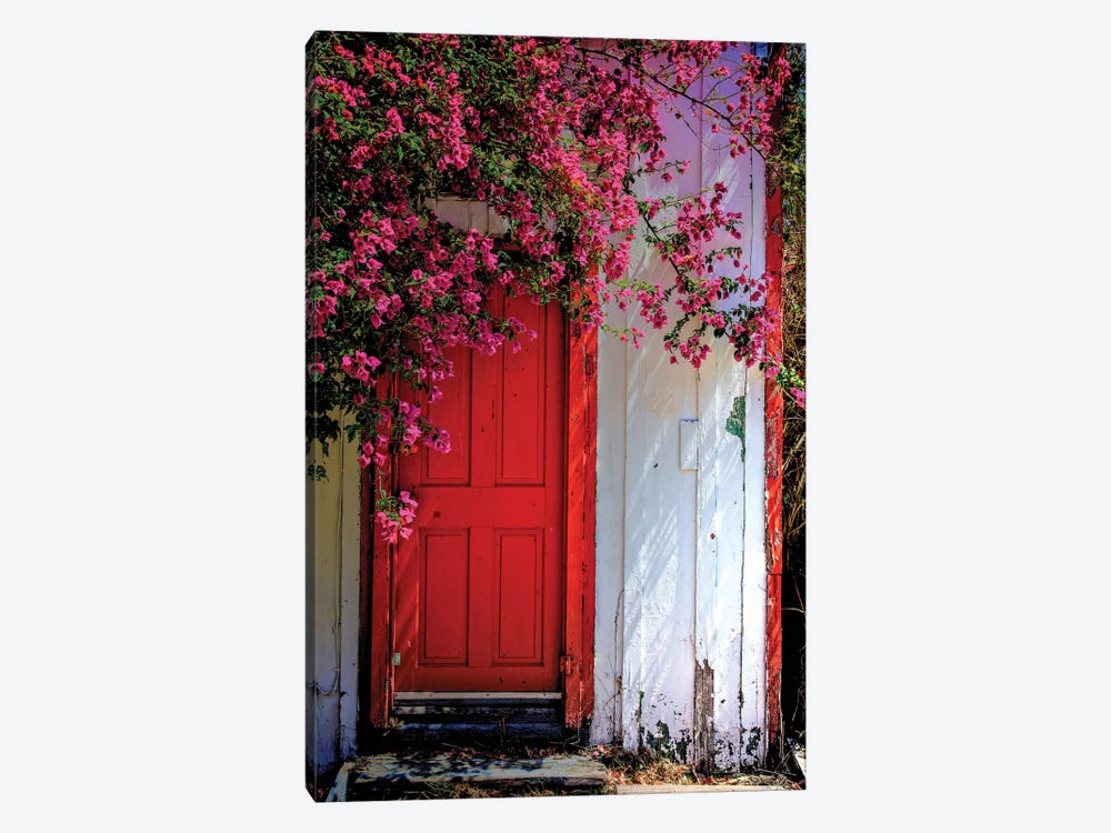 Red Door by Dean Mayo 1-piece Canvas Art