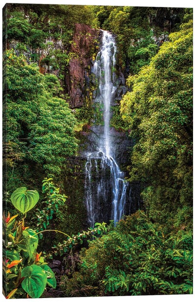 Wailua Falls, Maui Canvas Art Print - Waterfall Art