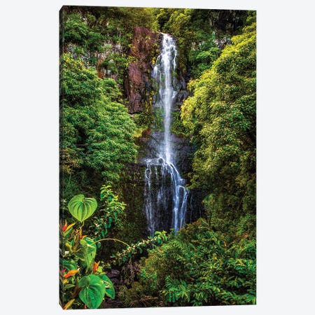 Wailua Falls, Maui Canvas Print #MYR100} by Shane Myers Canvas Art Print