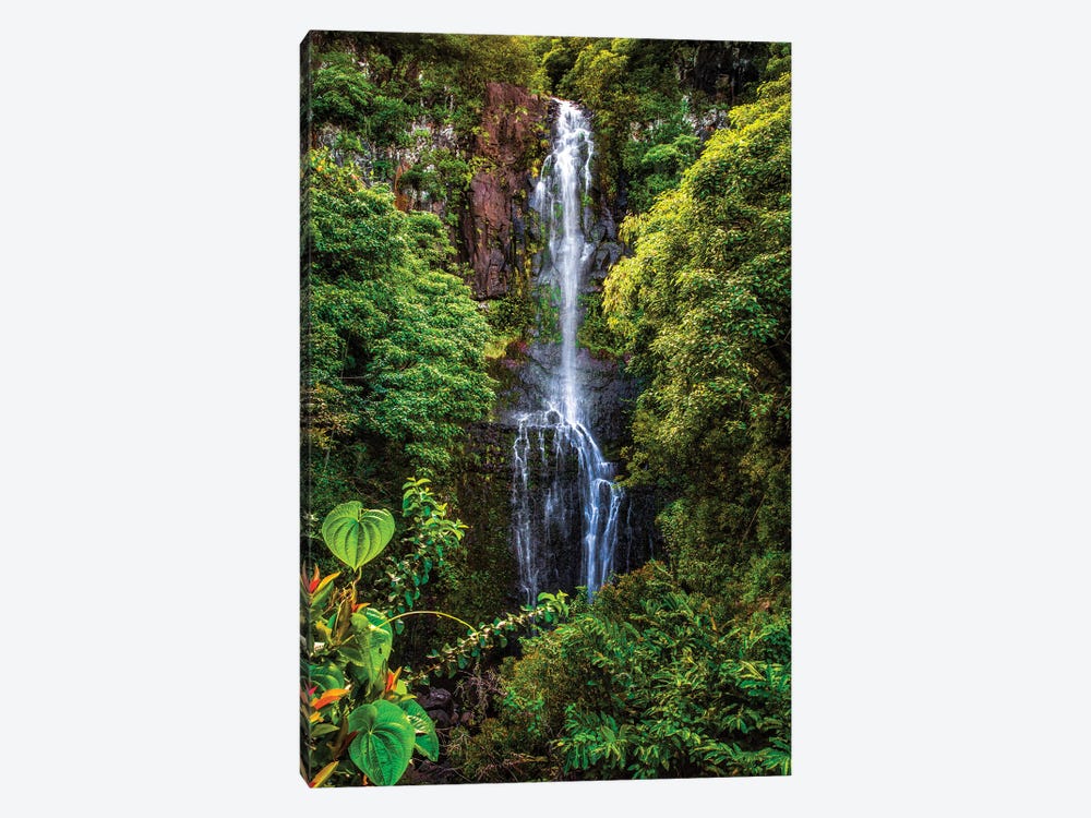 Wailua Falls, Maui by Shane Myers 1-piece Art Print