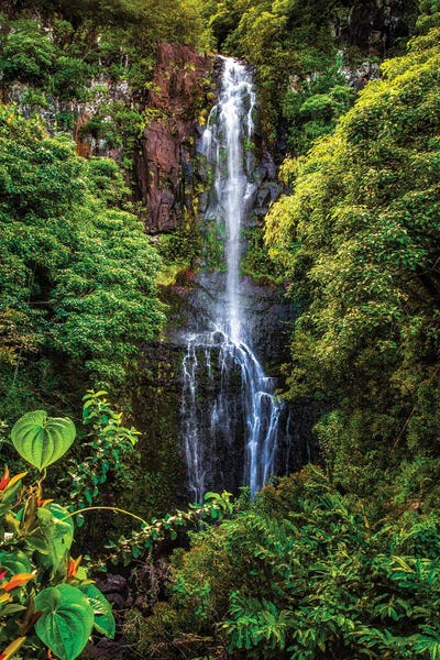 Shane Myers: Wailua Falls, Maui by Shane Myers