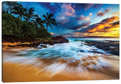 Dream With Me Canvas Art Print - Shane Myers