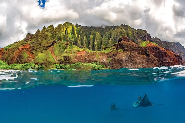 Islands: Eagle Crossing by Shane Myers