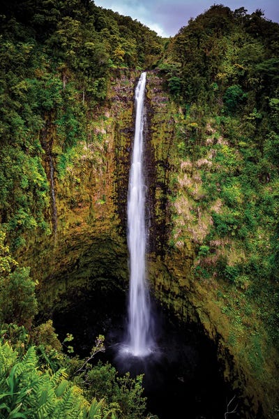The Big Island (Island Of Hawai'i): Akaka Falls by Shane Myers