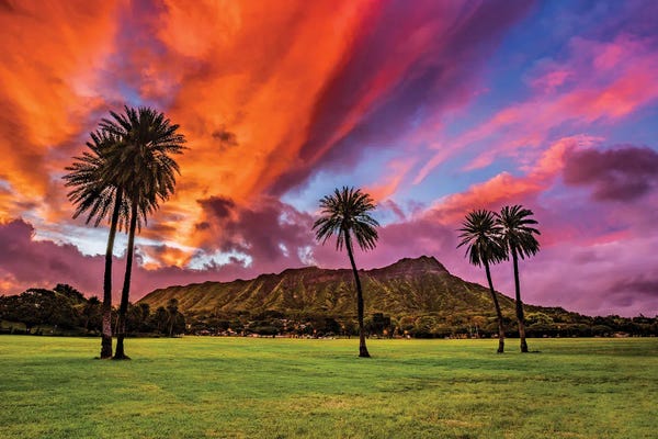 Hawaii: Good Vibes by Shane Myers