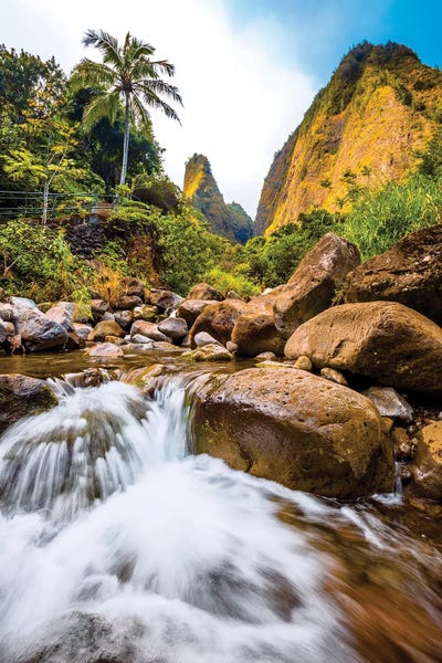 Shane Myers: Iao Needle by Shane Myers