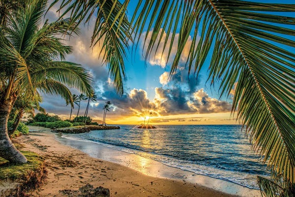 Hawaii: Island View by Shane Myers