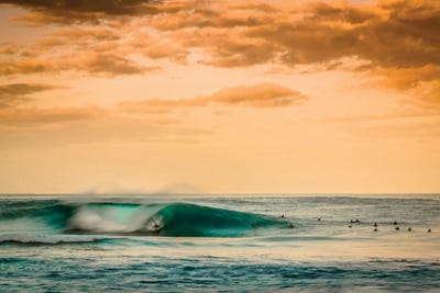 Lone Wolf by Shane Myers framed canvas print