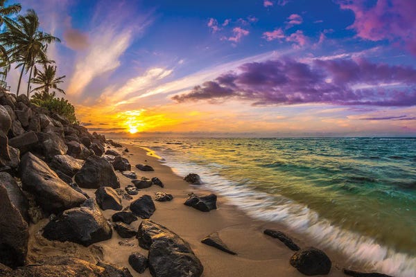 Hawaii: Ohana by Shane Myers