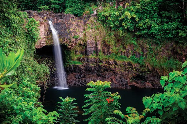 Shane Myers: Rainbow Falls II by Shane Myers