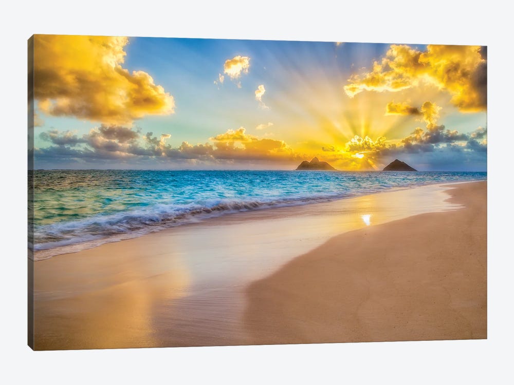 Sublime by Shane Myers 1-piece Canvas Wall Art