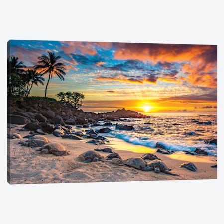 Happy Place Canvas Print by Shane Myers | iCanvas